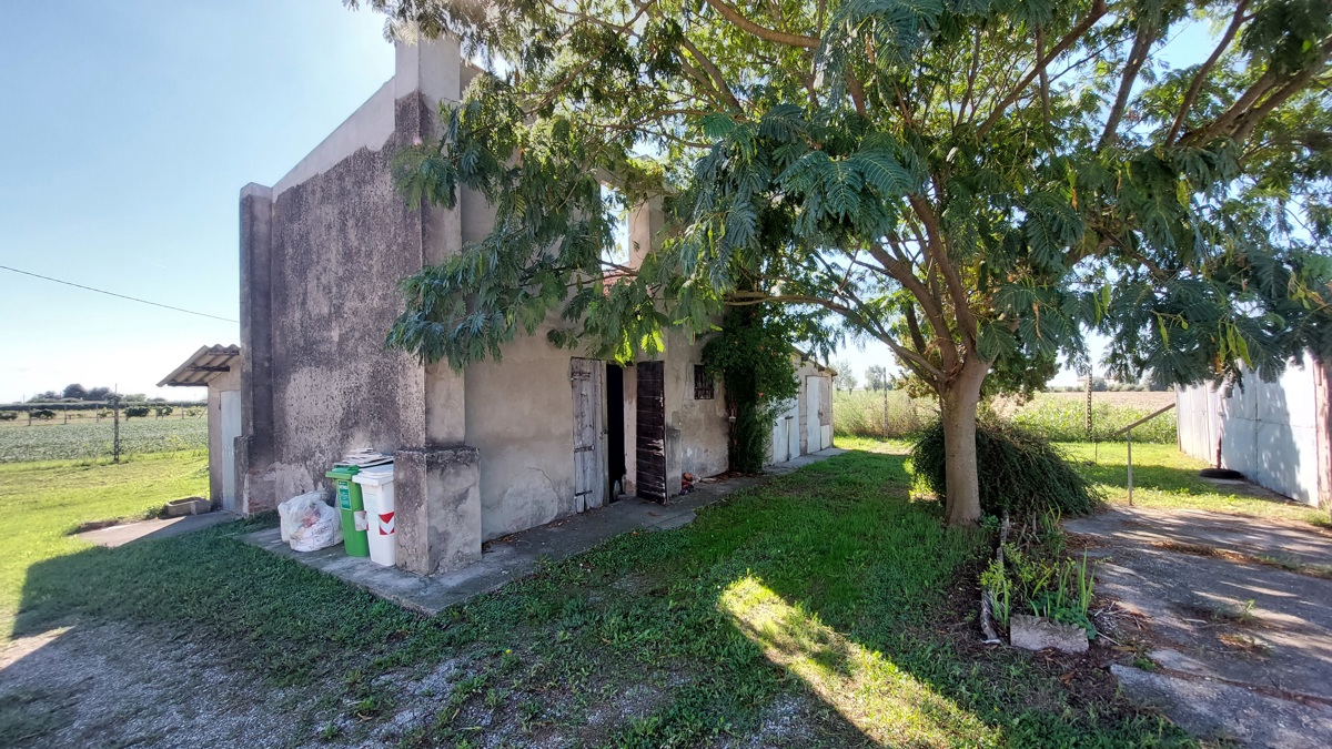 Foto 3 di 12 - Casa indipendente in vendita a Pettorazza Grimani