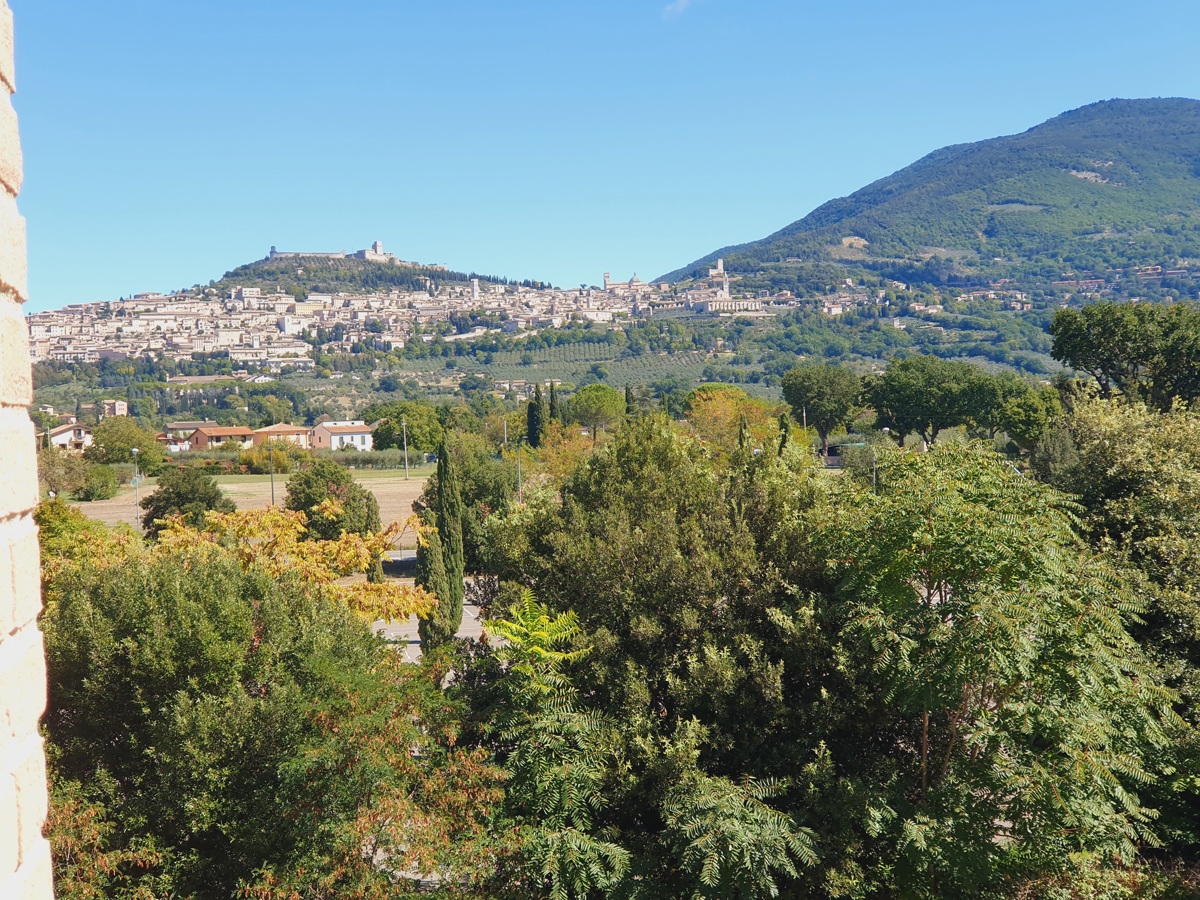Foto 15 di 20 - Appartamento in vendita a Assisi