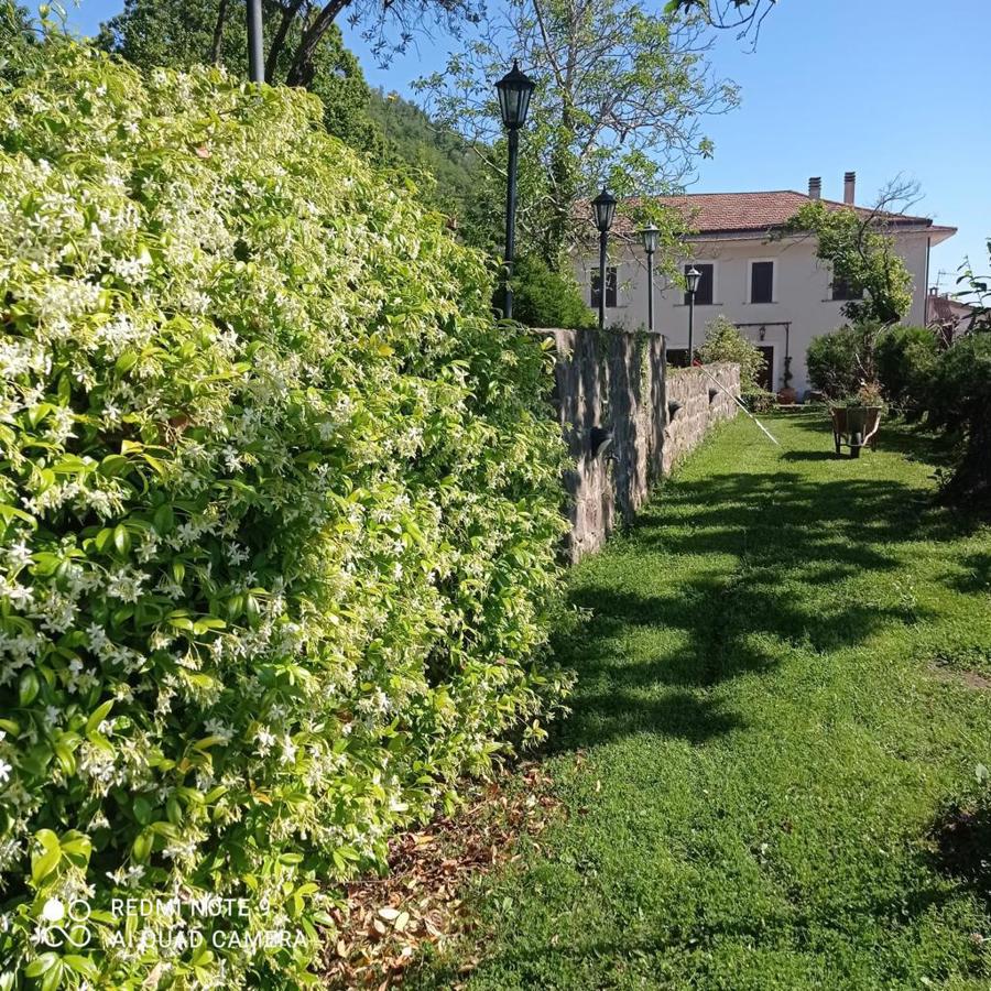 Foto 1 di 25 - Villa in vendita a Roccamonfina