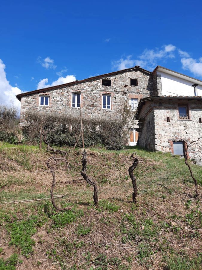 Foto 2 di 11 - Casa indipendente in vendita a Borgo A Mozzano