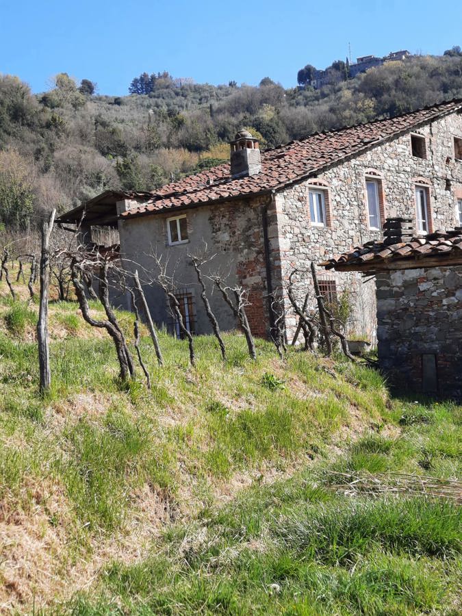 Foto 3 di 11 - Casa indipendente in vendita a Borgo A Mozzano