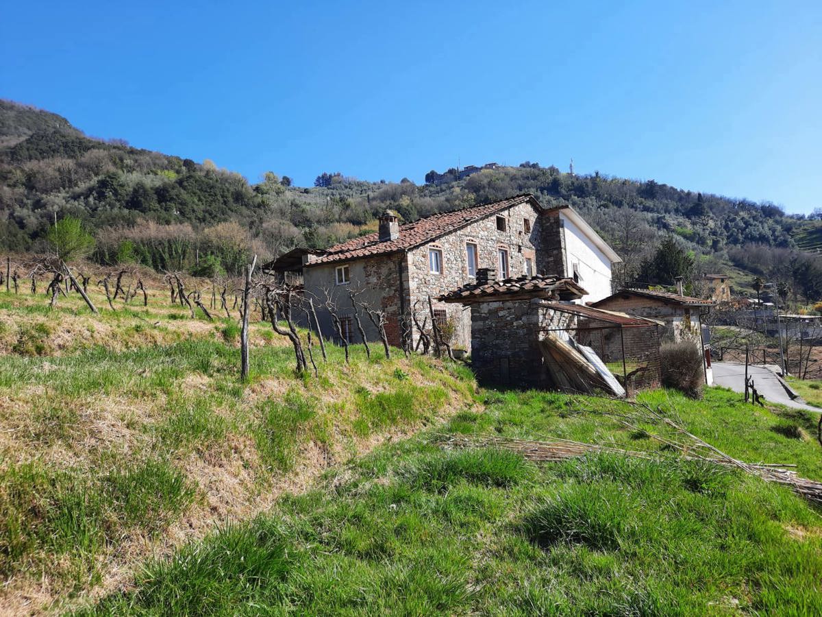 Foto 4 di 11 - Casa indipendente in vendita a Borgo A Mozzano