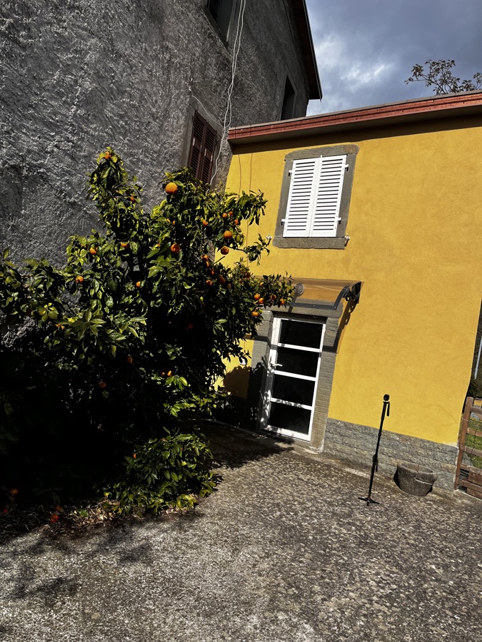 Foto 2 di 17 - Appartamento in vendita a Comano