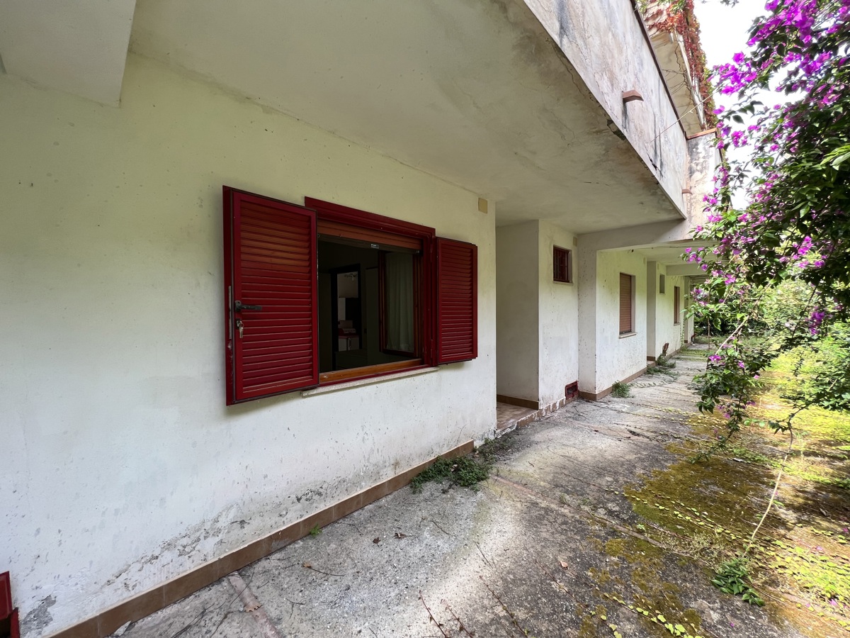 Foto 1 di 18 - Appartamento in vendita a Falconara Albanese
