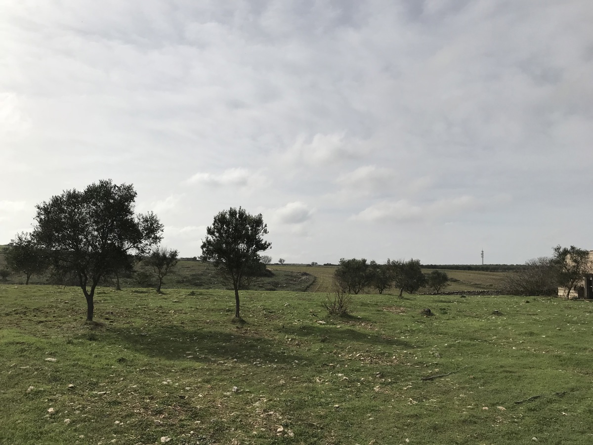 Terreno agricolo in vendita a Cassano Delle Murge (BA)