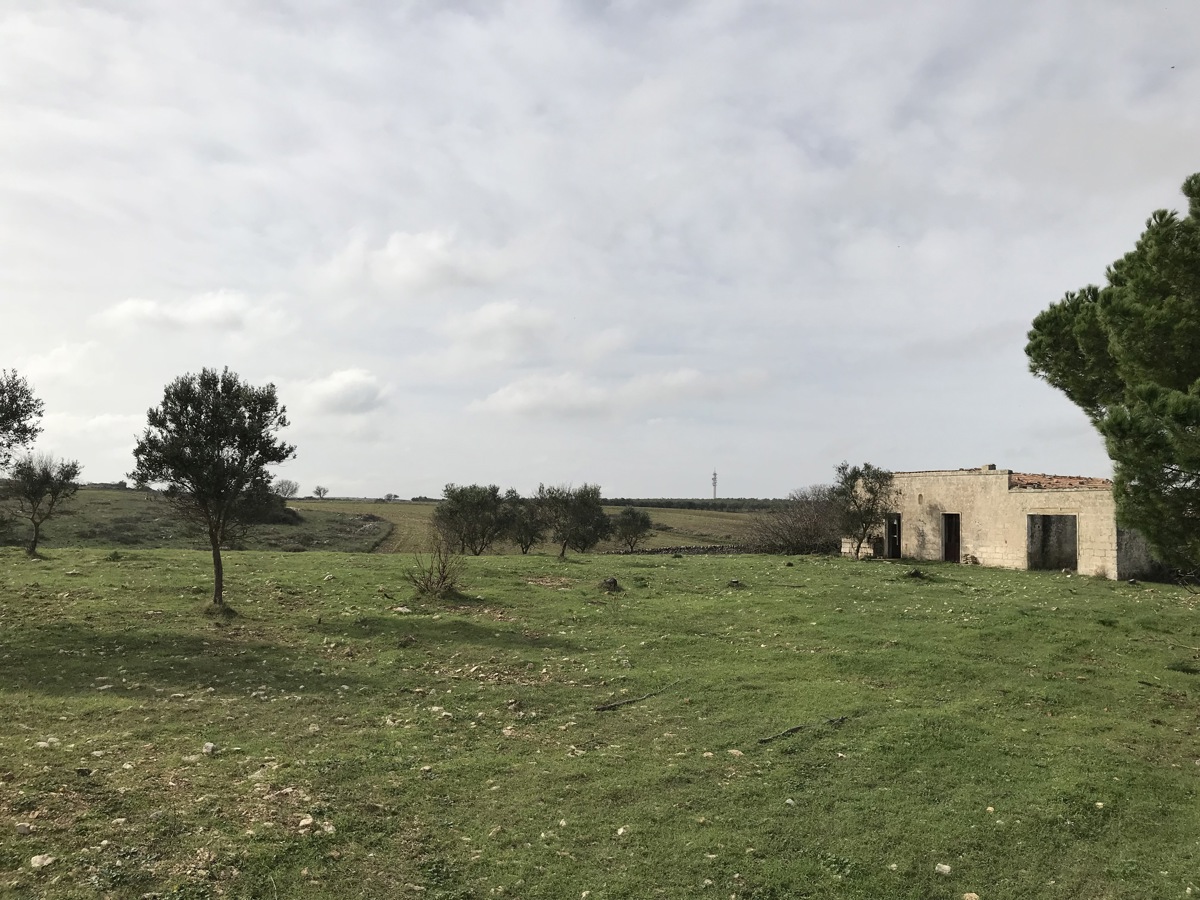 Terreno agricolo in vendita a Cassano Delle Murge (BA)
