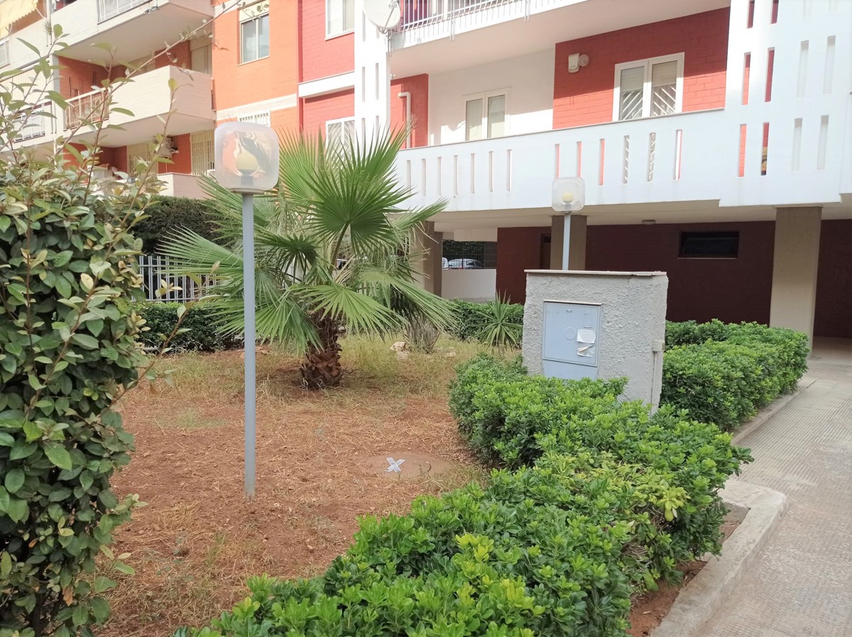 Foto 3 di 14 - Appartamento in vendita a Bari