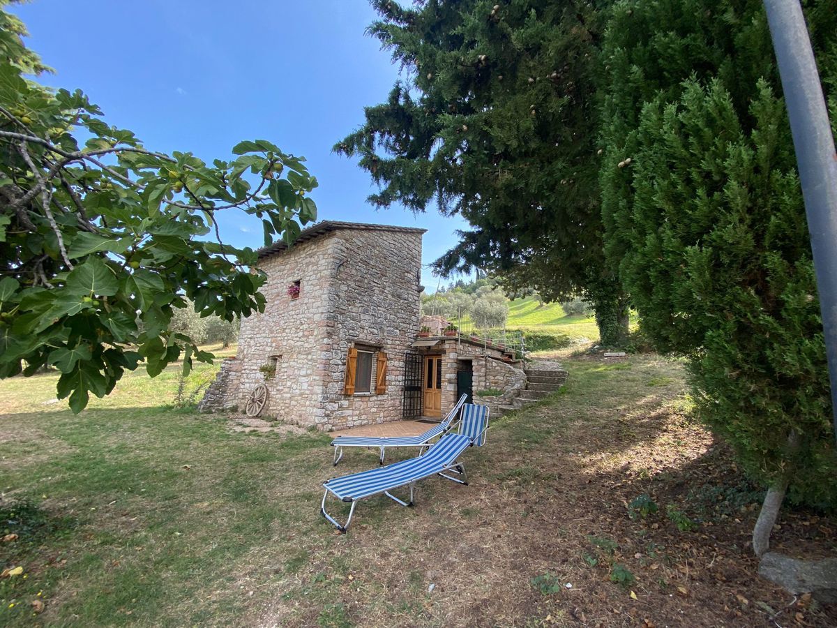 Foto 4 di 38 - Rustico in vendita a Assisi