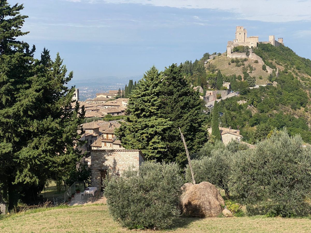 Foto 36 di 38 - Rustico in vendita a Assisi