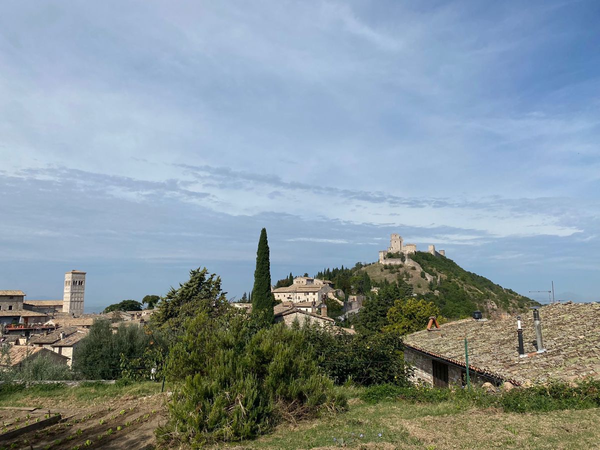 Foto 24 di 38 - Rustico in vendita a Assisi