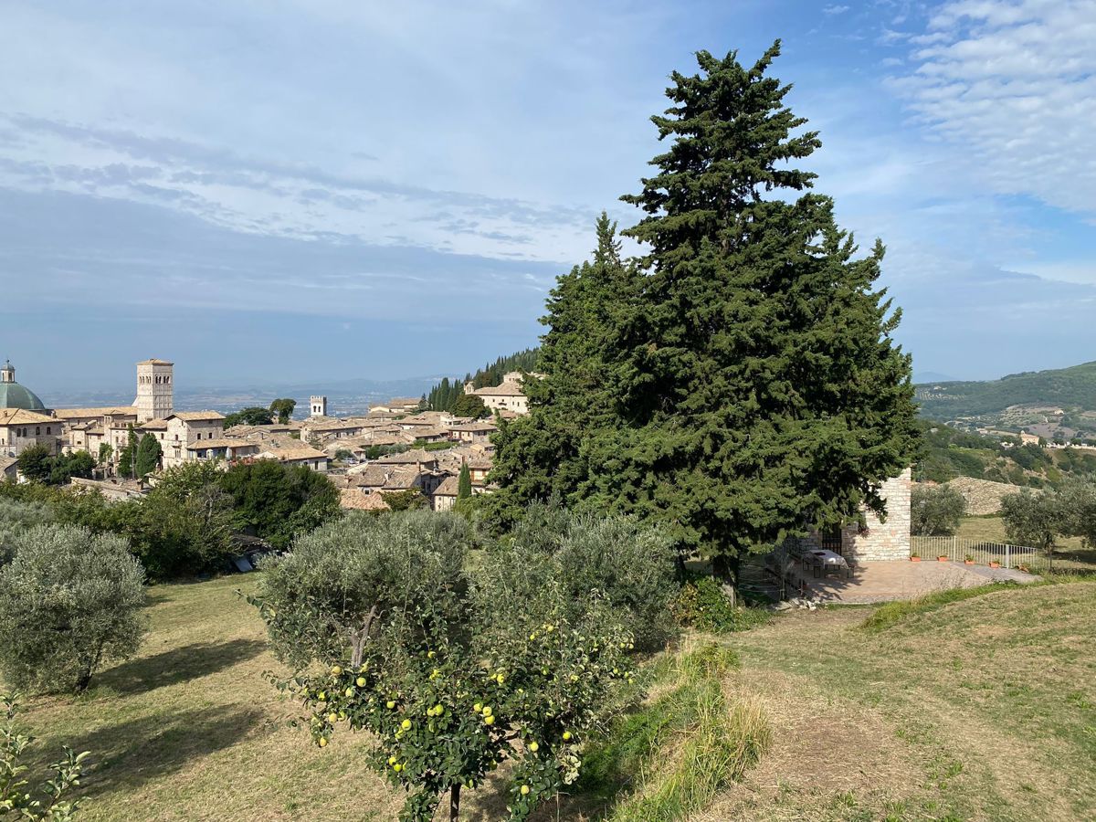 Foto 32 di 38 - Rustico in vendita a Assisi