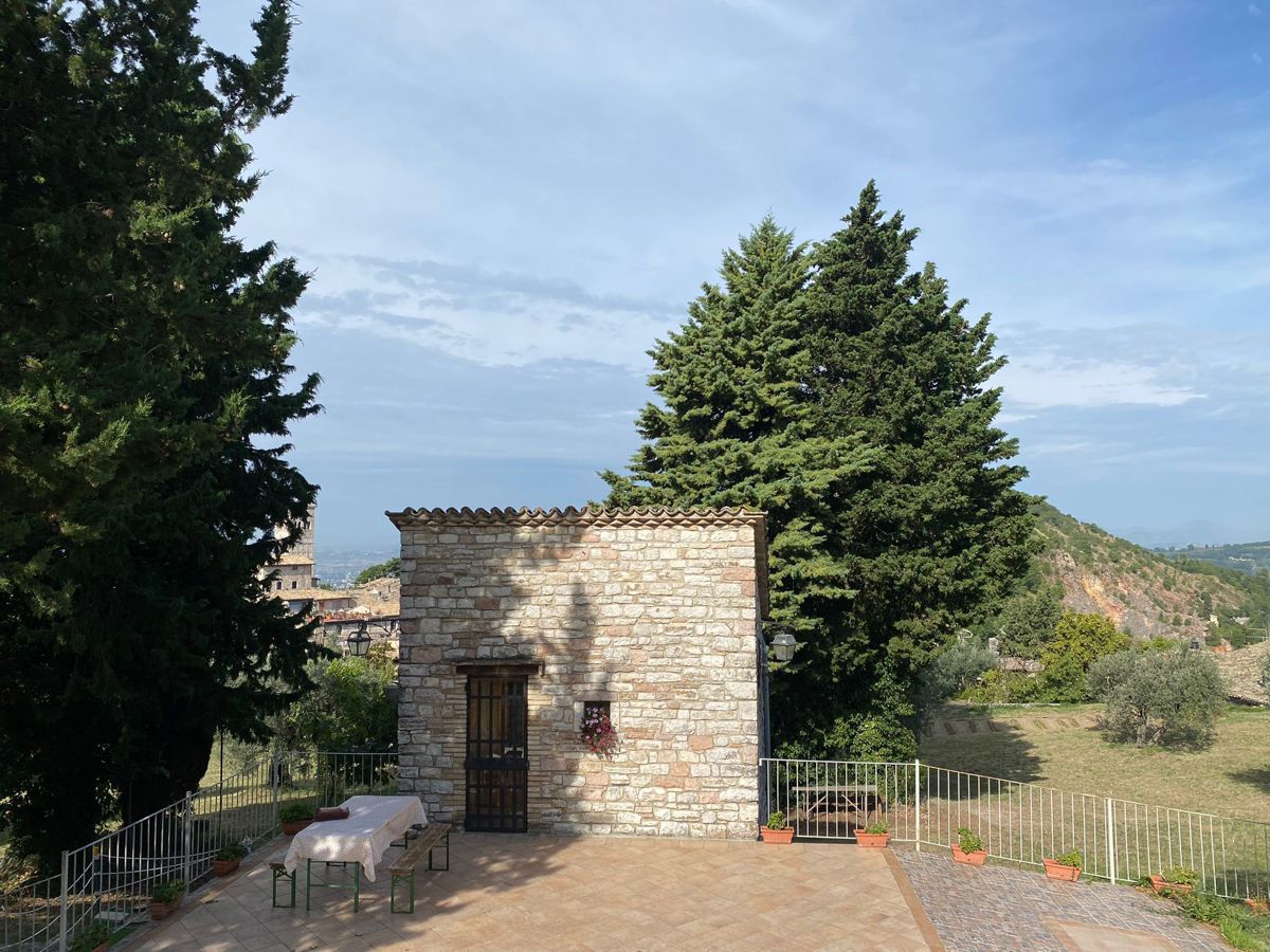 Foto 19 di 38 - Rustico in vendita a Assisi