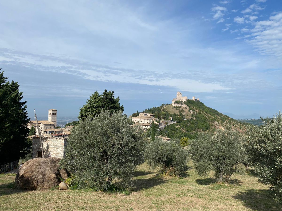 Foto 31 di 38 - Rustico in vendita a Assisi