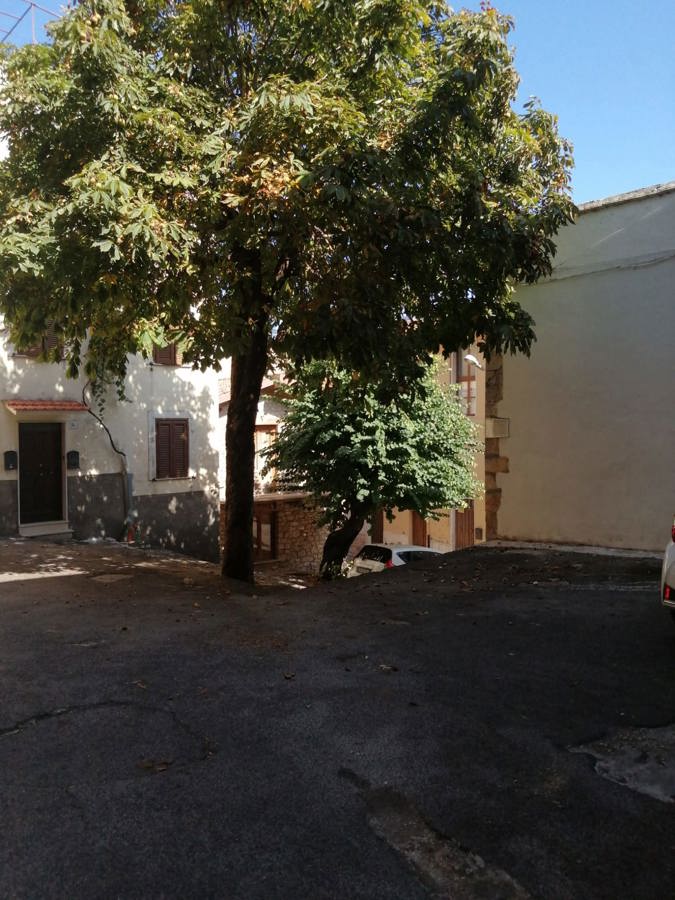 Foto 14 di 16 - Appartamento in vendita a Sezze