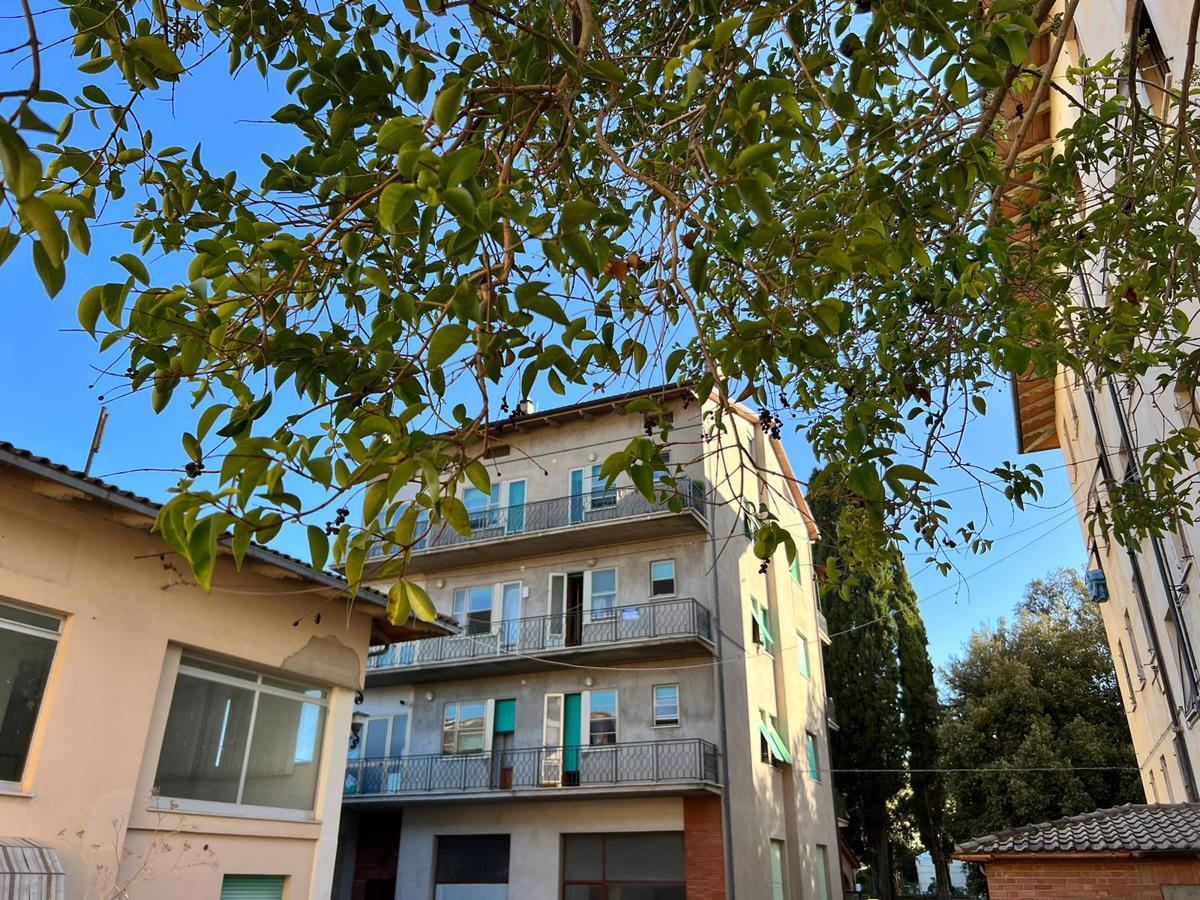 Foto 2 di 11 - Appartamento in vendita a Tuoro sul Trasimeno