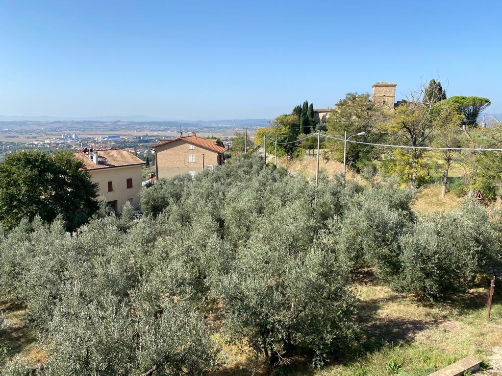 Foto 6 di 31 - Villa a schiera in vendita a Assisi