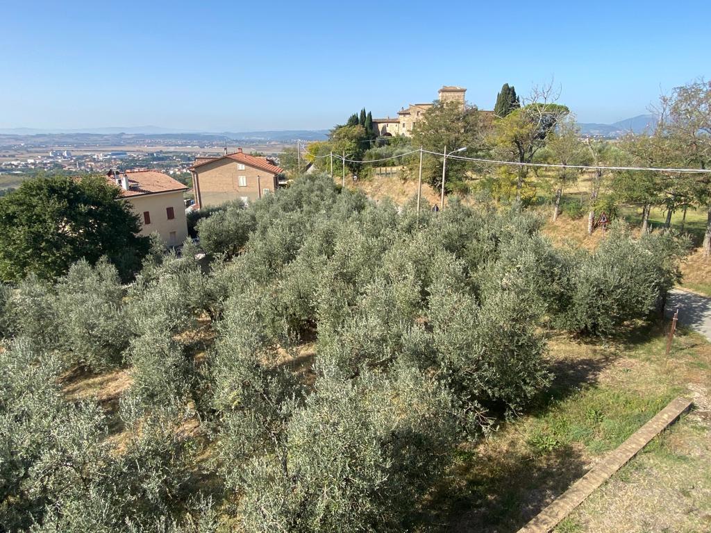 Foto 8 di 31 - Villa a schiera in vendita a Assisi