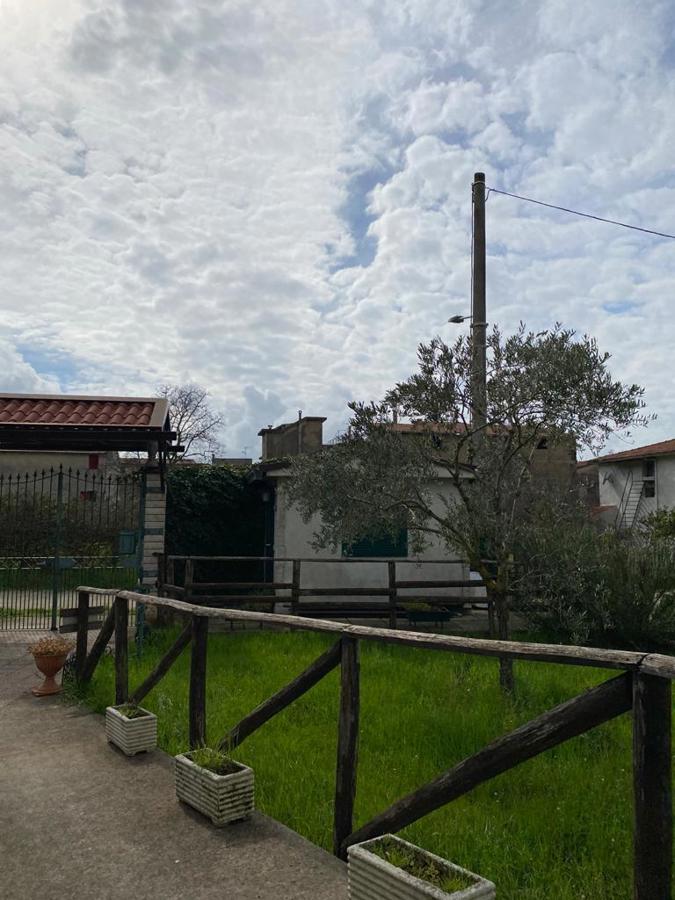 Foto 11 di 14 - Villa in vendita a Sessa Aurunca
