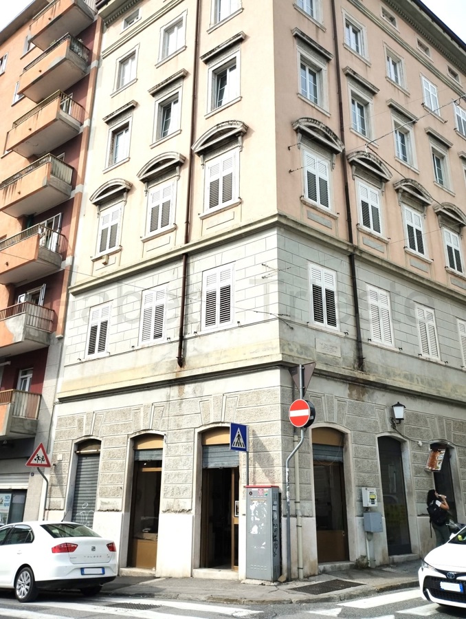 Foto 2 di 8 - Negozio in affitto a Trieste