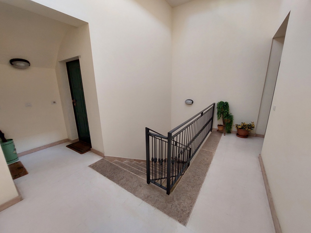 Foto 13 di 15 - Appartamento in affitto a Bologna
