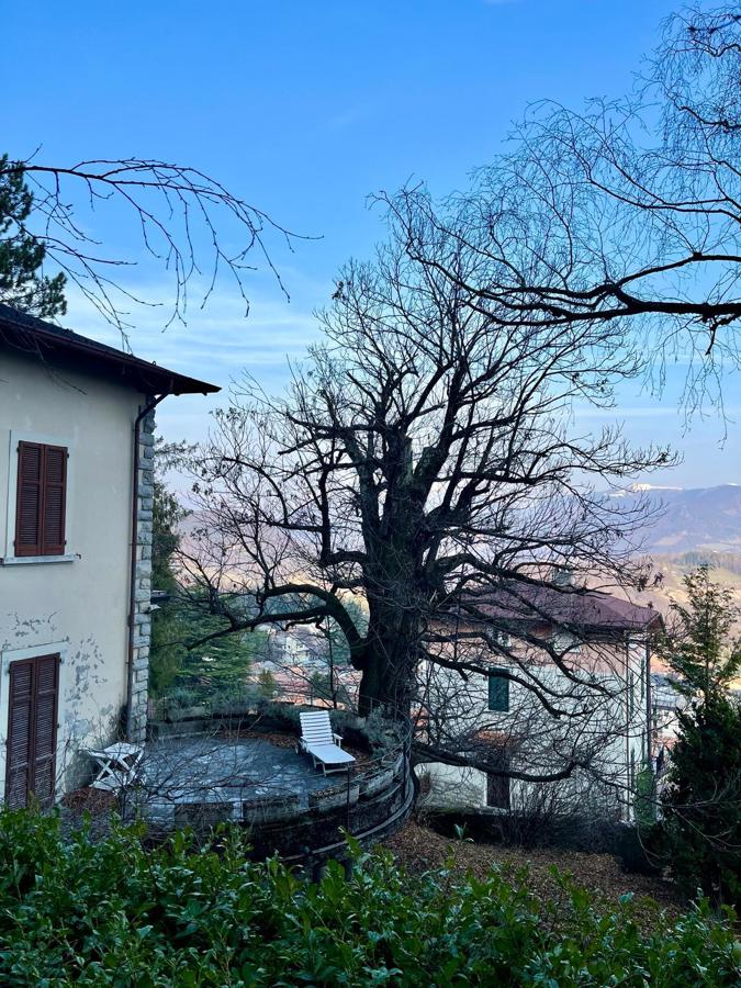 Foto 32 di 37 - Villa in vendita a Alta Valle Intelvi