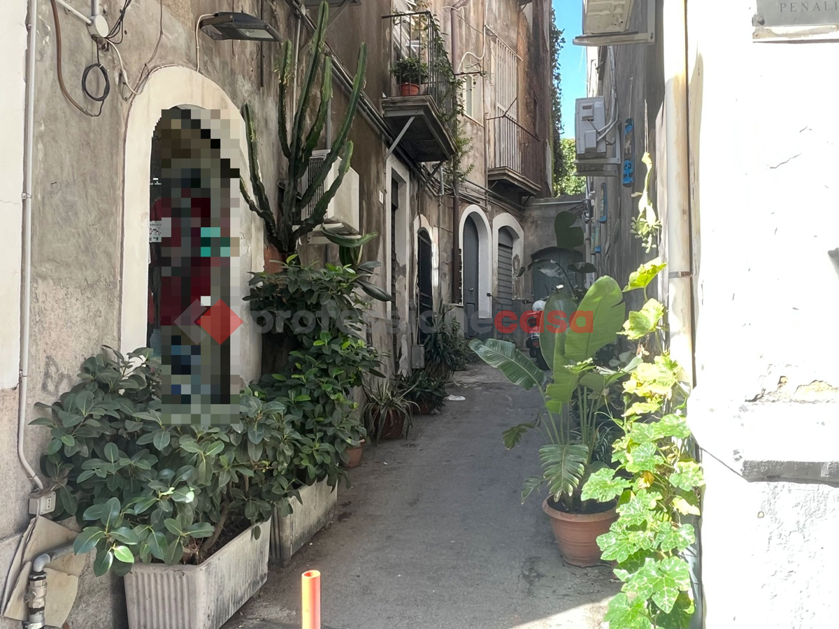 Foto 7 di 15 - Appartamento in affitto a Catania