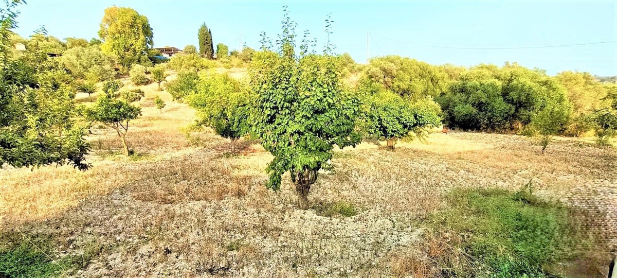 Foto 7 di 8 - Villa in vendita a Agrigento