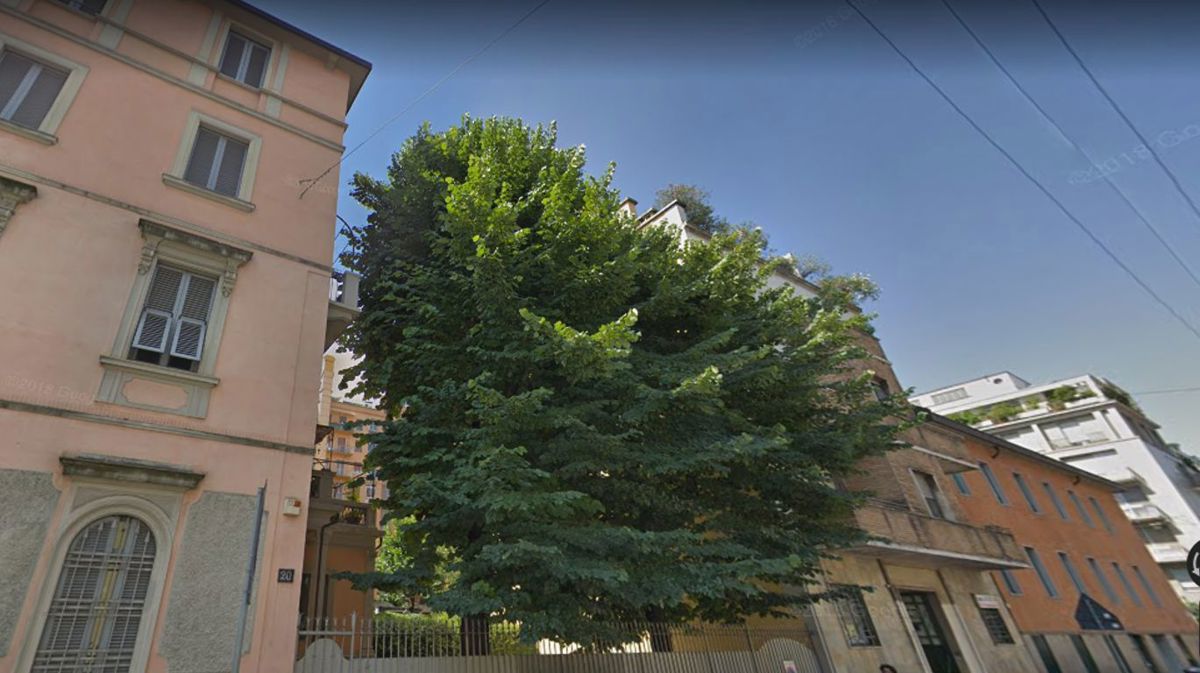 Foto 8 di 8 - Appartamento in affitto a Milano
