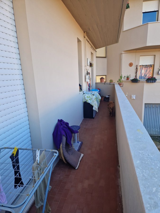 Foto 13 di 16 - Appartamento in affitto a San Giuliano Terme