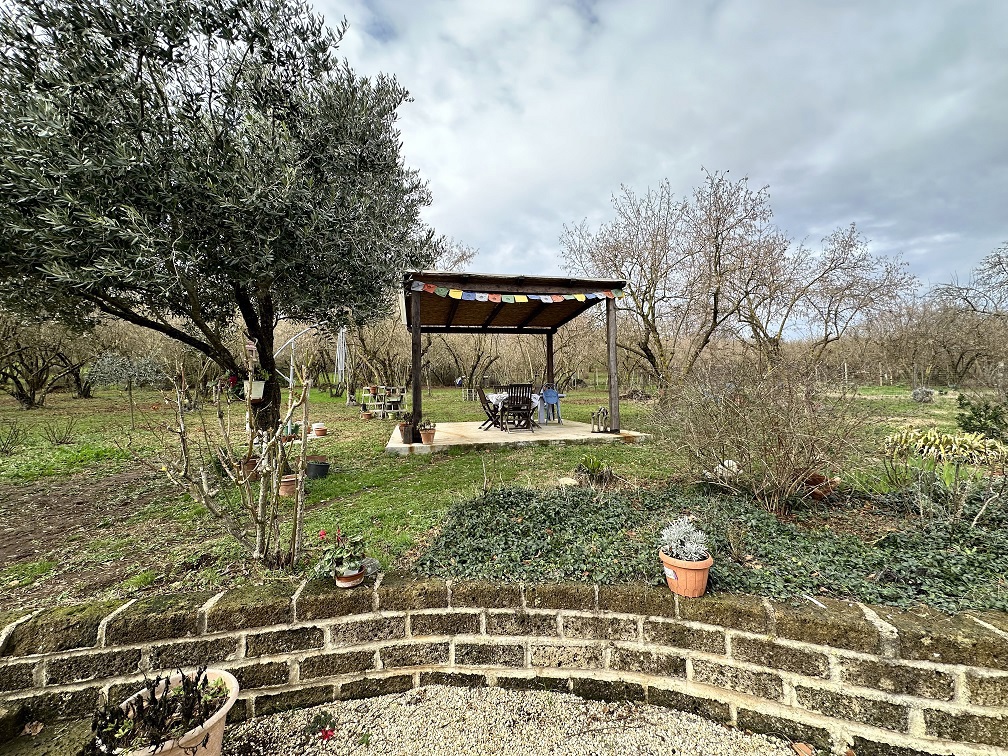 Foto 26 di 38 - Villa a schiera in vendita a Trevignano Romano