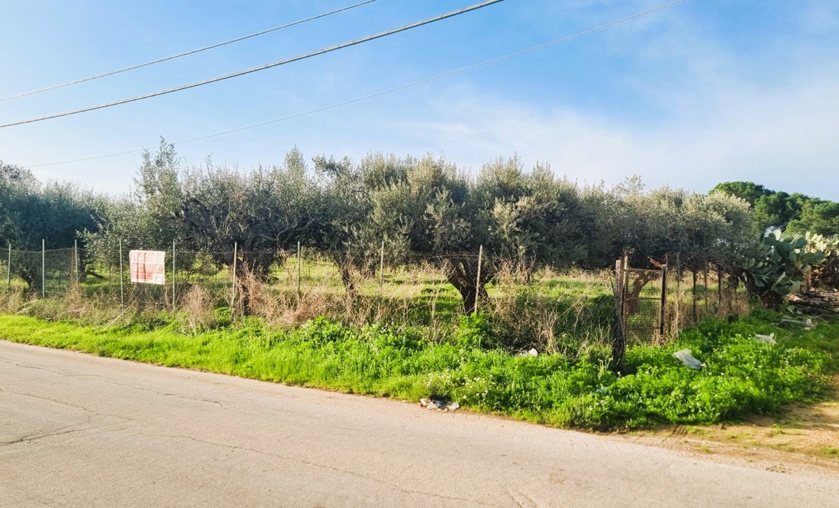 Foto 3 di 6 - Terreno in vendita a Agrigento