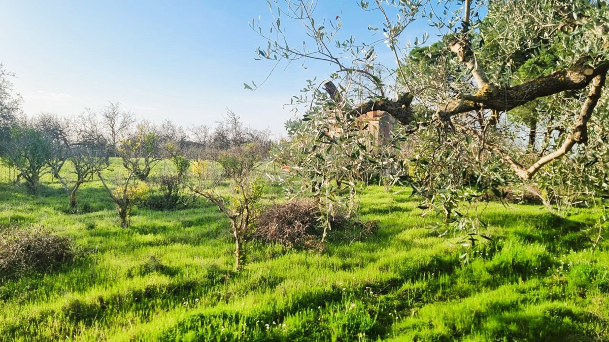 Foto 2 di 6 - Terreno in vendita a Agrigento