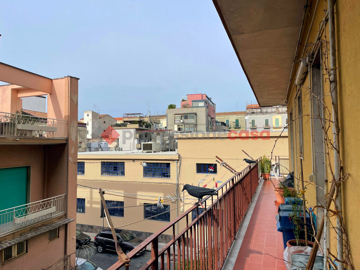 Foto 9 di 12 - Appartamento in vendita a Catania
