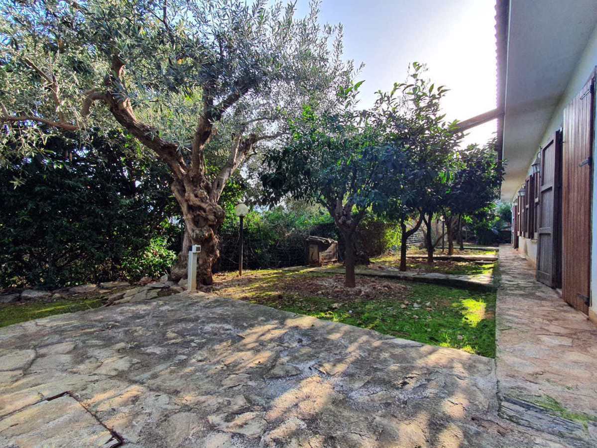 Foto 17 di 26 - Villa in vendita a Palermo