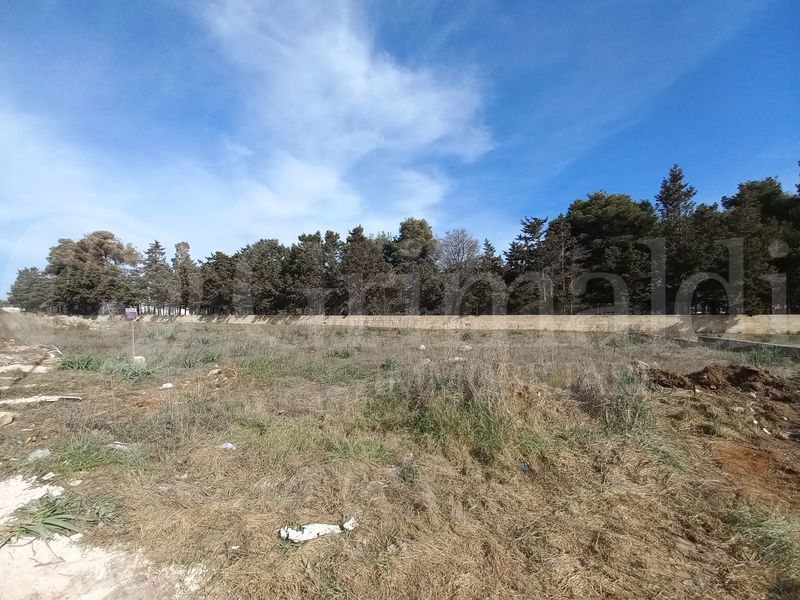 Foto 4 di 9 - Terreno in vendita a Ugento