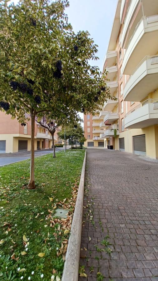 Foto 18 di 18 - Appartamento in vendita a Frosinone