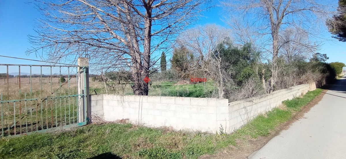 Foto 5 di 6 - Terreno in vendita a Foggia