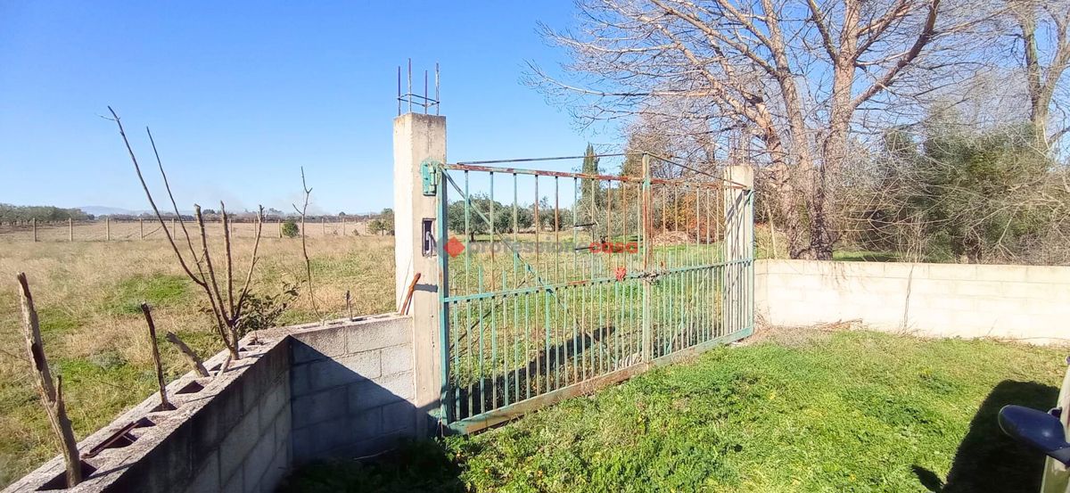 Foto 6 di 6 - Terreno in vendita a Foggia