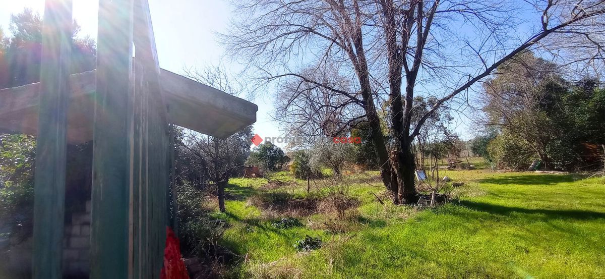 Foto 2 di 6 - Terreno in vendita a Foggia