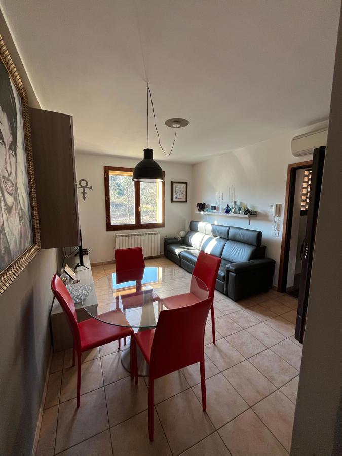 Foto 4 di 29 - Appartamento in vendita a Monte San Pietro