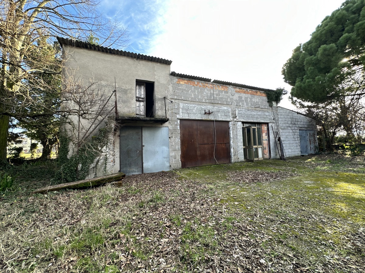 Foto 4 di 16 - Casa indipendente in vendita a Oppeano