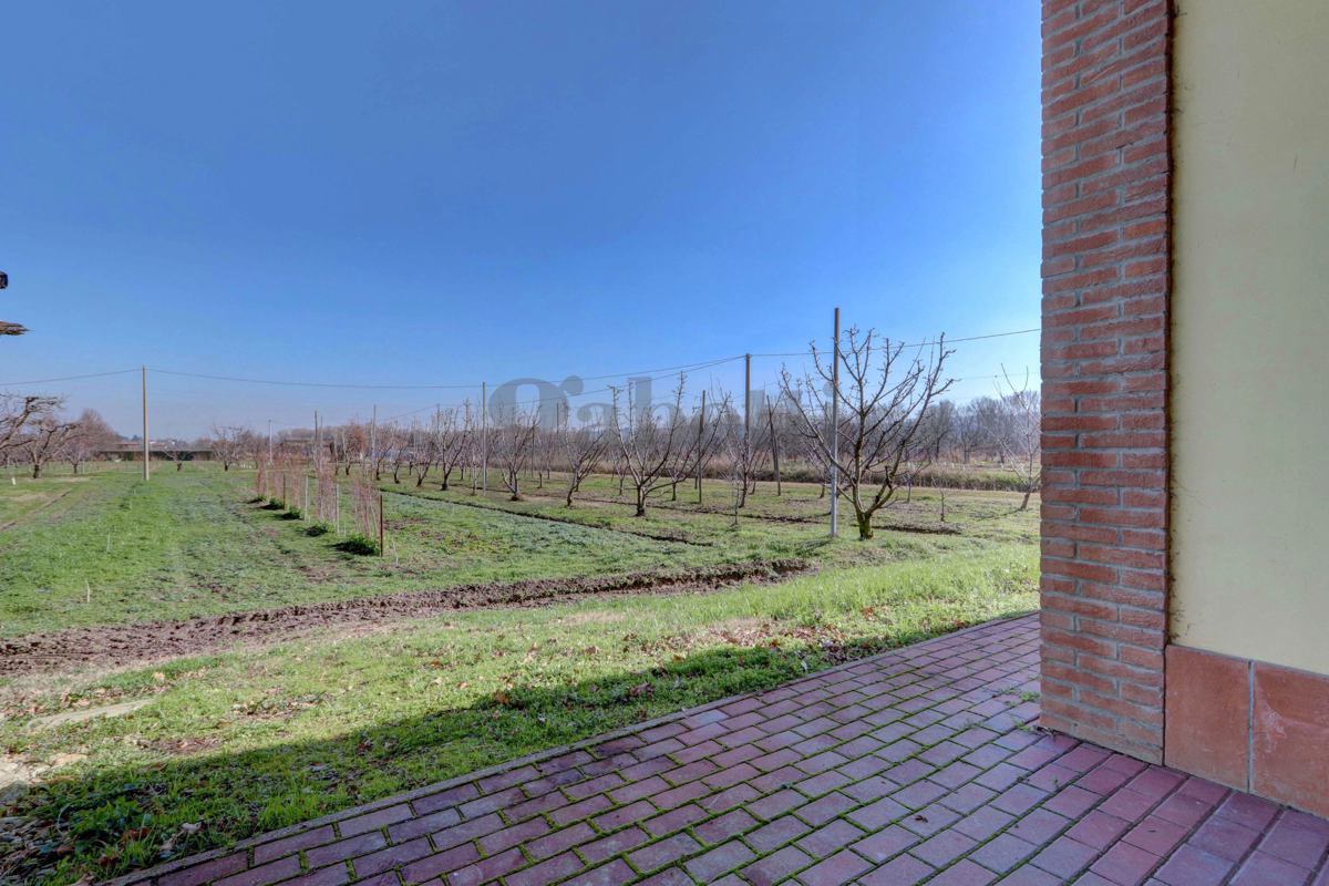 Foto 3 di 7 - Terreno in vendita a Vignola