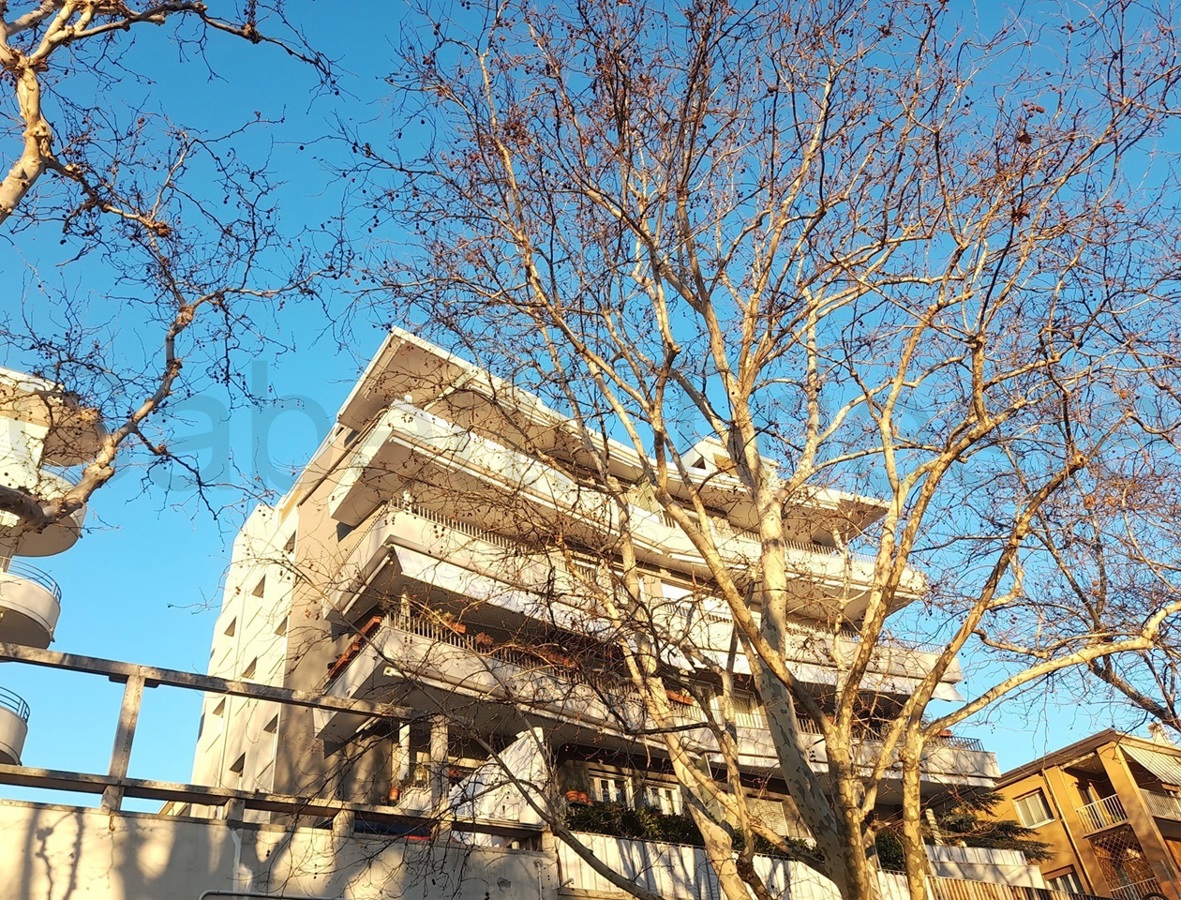 Foto 2 di 11 - Appartamento in vendita a Trieste