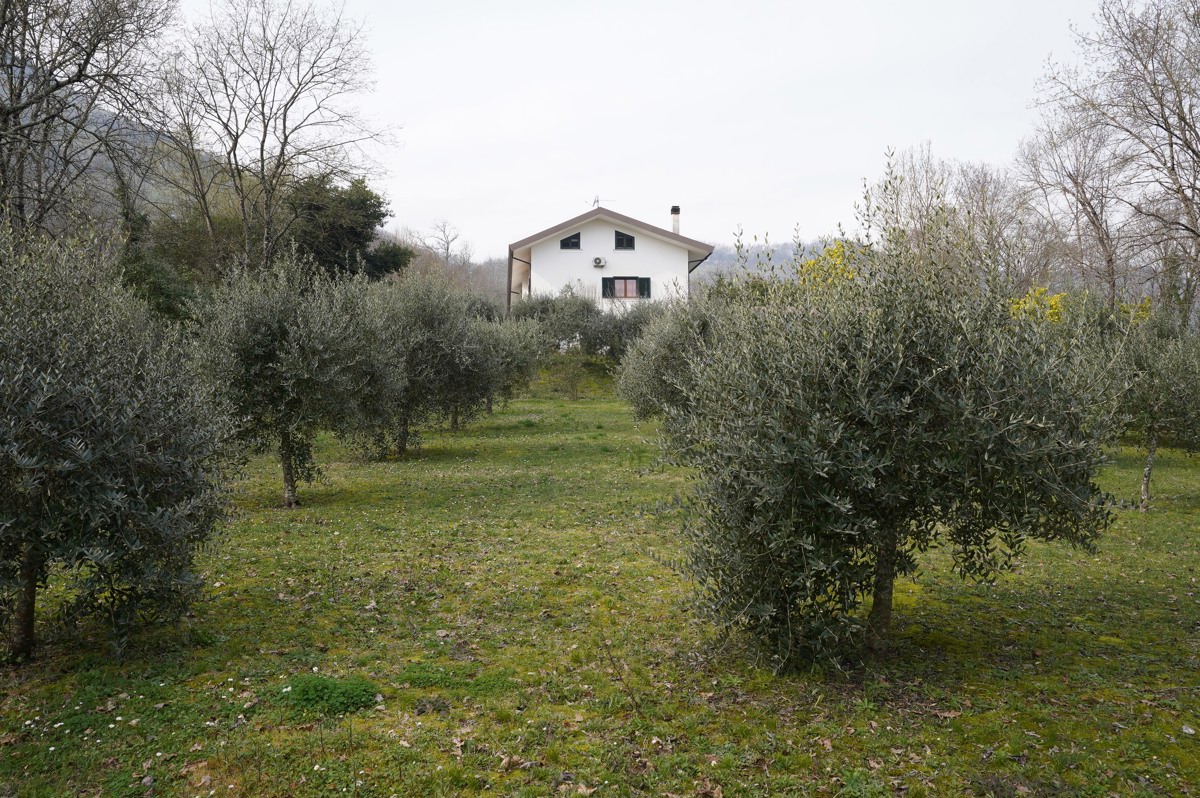 Foto 34 di 36 - Casa indipendente in vendita a Sant'Apollinare