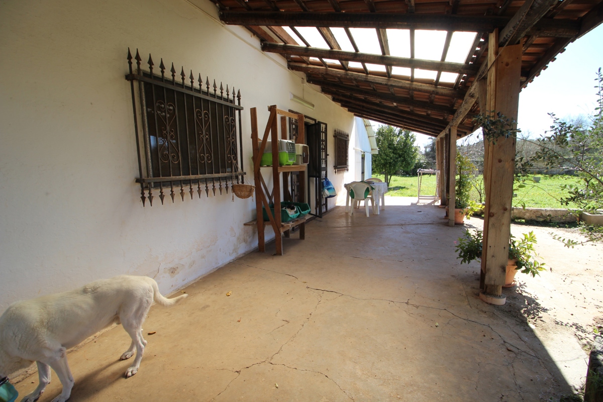 Foto 3 di 17 - Villa in vendita a Manduria