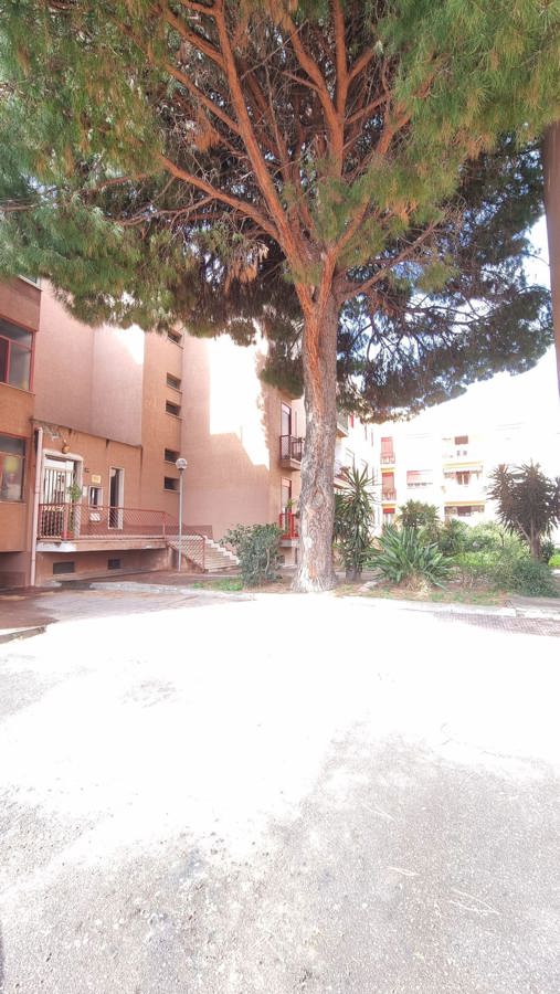 Foto 29 di 34 - Appartamento in vendita a Milazzo