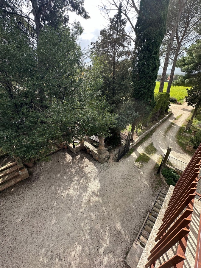 Foto 24 di 30 - Rustico in affitto a Assisi