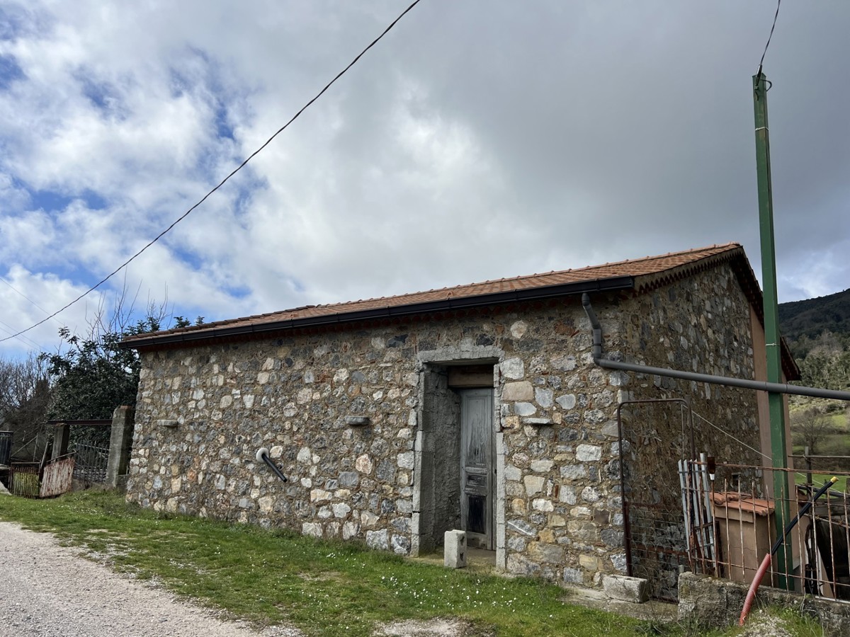 Foto 4 di 26 - Casa indipendente in vendita a San Giovanni a Piro