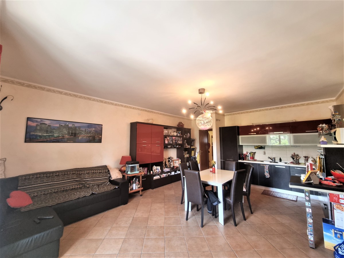 Foto 3 di 14 - Appartamento in vendita a Marino
