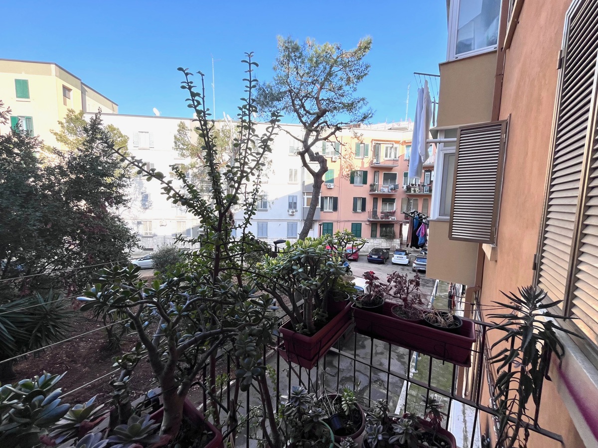Foto 11 di 13 - Appartamento in vendita a Bari